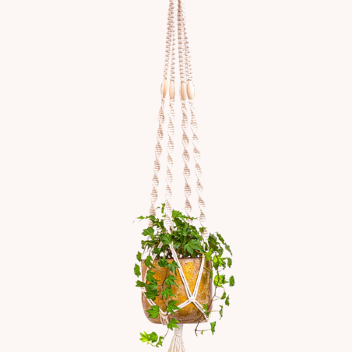 DIY Macramé Plant Holder Kit | Indoor Hanging Planter