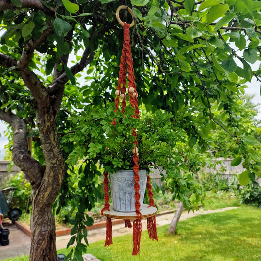 Handmade Macrame Plant Hanger with Wooden Shelf - Twist Knot